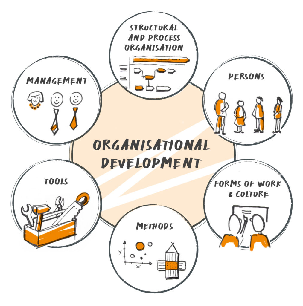 Krehl & Partner Organizational Development and its fields